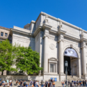 TCNJ partners with American Museum of Natural History to offer graduate courses